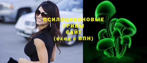 мескалин Дмитриев